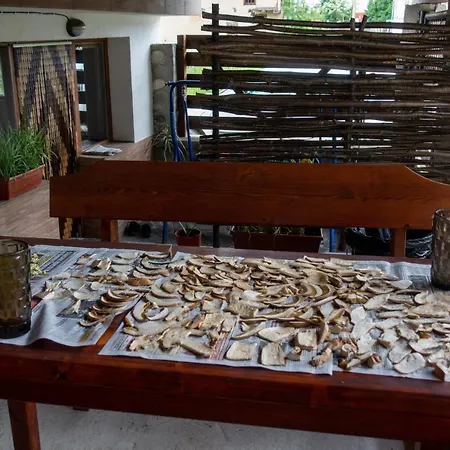 Markovi Affittacamere *