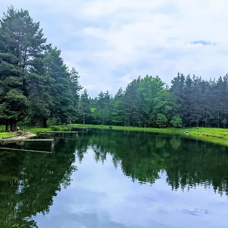 Affittacamere Markovi