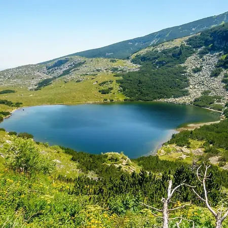 Markovi * Govedartsi