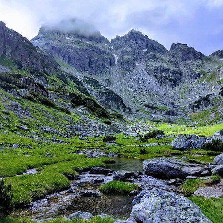 Markovi * Govedartsi