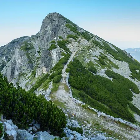 Markovi