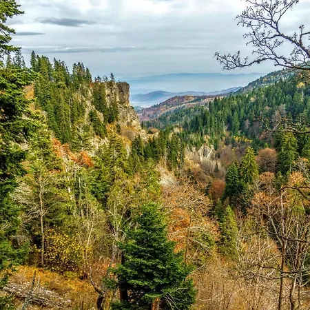 Markovi Affittacamere *