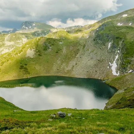 Markovi * Govedartsi