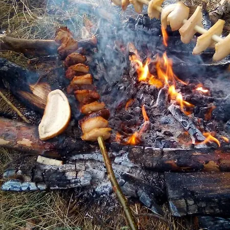 Markovi