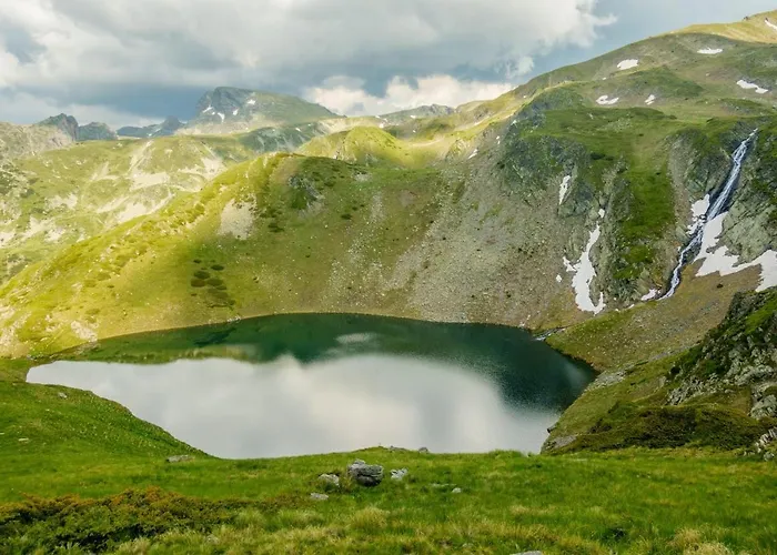 Markovi * Govedartsi