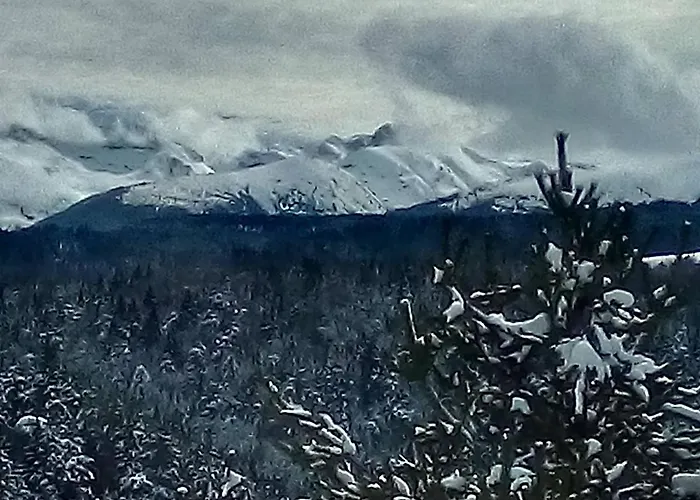 Markovi * Govedartsi